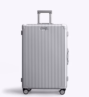 Check-In: All-In-One 28"
